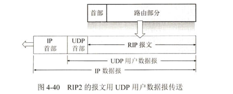 image-20241224224304008